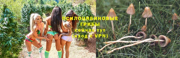 скорость mdpv Горняк