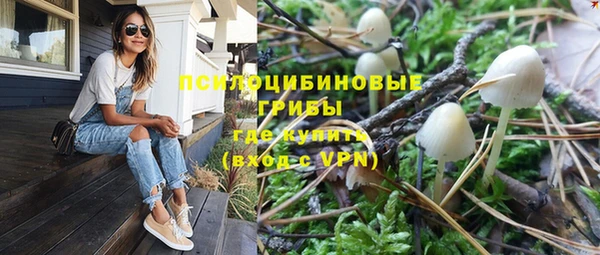 не бодяженный Горнозаводск