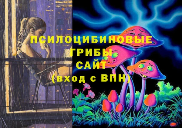 не бодяженный Горнозаводск